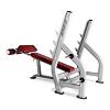 Posilovací lavice BH FITNESS L855 bench v negativním úhlu