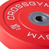 Olympijské kotouče TRINFIT Bumper Plate CrossGym