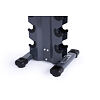 Set TRINFIT Chrom Dumbbell Rack Tower 1 - 10 kg