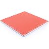 TRINFIT Tatami JUDO T40 - 100 x 100 x 4 cm - červená/modrá