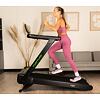TUNTURI Cardio Fit T60